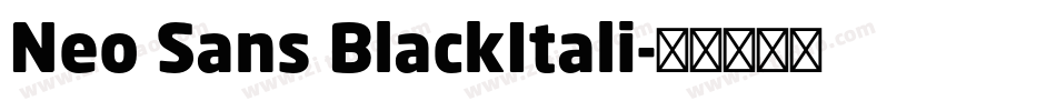 Neo Sans BlackItali字体转换